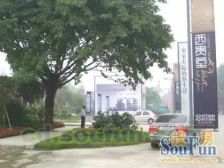 西贵堂 4室2厅 南 北