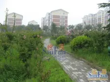 水岸鑫城 3室2厅 南 北