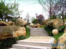 龙城1号 4室1厅 北