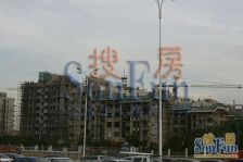 鼎城世家 3室1厅 南 北