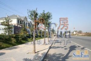 此房是小区花园联排别墅,北花园,满五唯一,看房随时