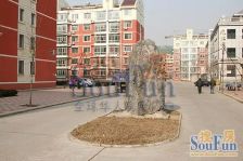 久润东区精装大两居单价13000多五年唯一