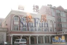 明珠花园低楼层南北通透精装