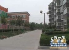 馨港庄园三区1室1厅南北