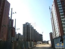 枣园·彩虹新城精装修一室一厅采光视野棒棒哒