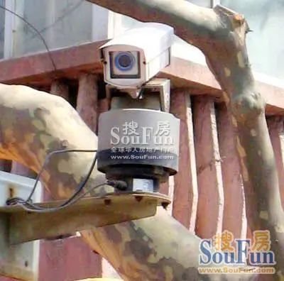  ��������3��1��1���ϱ�����2200.00Ԫ/�³��� 