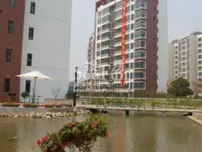 急售急售急售小高层环境好物业好 汇才