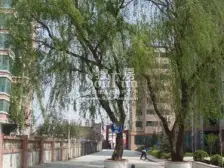 荣祥花园 2室1厅 南 北