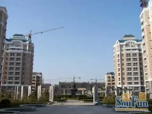 实景图