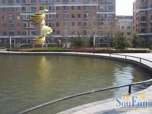 实景图