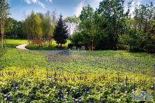 龙湖花盛香醍 5室2厅 南 北