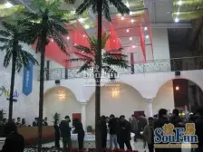 橄榄树好楼层,好位置,简单装修,随时看房