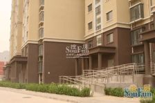 天和景园4室2厅南北