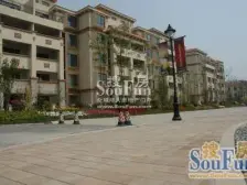 香江健康小镇棕榈园 2室2厅 南