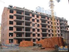 天鸿嘉园 2室1厅 南