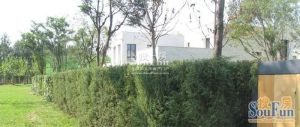 MOMA万万树4室南北朝向2900.00万元/套出售