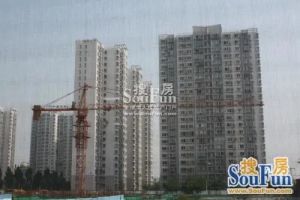 西府颐园2室1厅东南