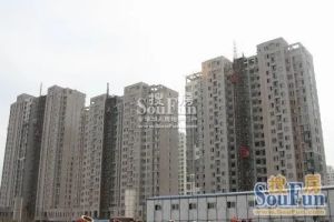 新城区宝龙植物园时代国际套三诚意出售