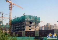 金顶阳光全南向户型全明格局高楼层视野好