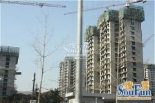 金顶阳光明厨明卫两居室 全南向 采光充足