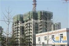 金顶阳光1室1厅东南