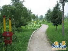 带电梯,户型为正规四居室,朝向良好,空气流通