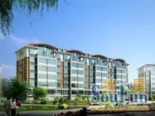 万科广场 祥云小区 顶楼带阁楼 精装4室