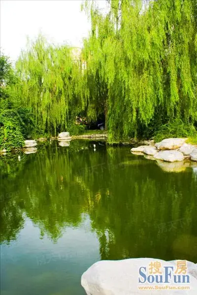 实景图