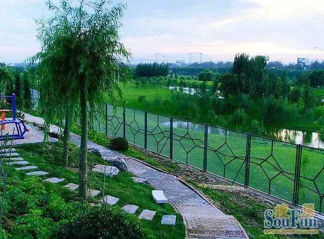 实景图