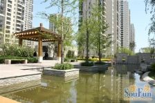 北京新天地三期1室1厅东北