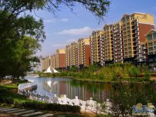 九洲溪雅苑二区 4室2厅 南 北