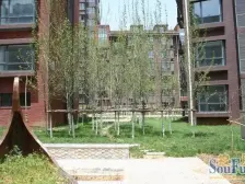 旅顺五一路 中间楼层位置好 无坡 卫生间有窗