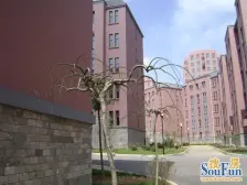 两室南北业主急售小户型地热层高不压抑精装修