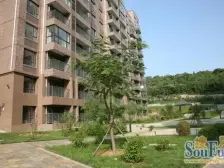 福佳绿都,南北通厅,南侧视野好,位置好,户型好