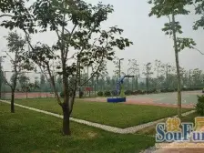 香江棕榈园 有房本 通透两室 总价低 房主诚心出售