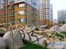 两梯两户小高层 全天采光,楼间距150米左右