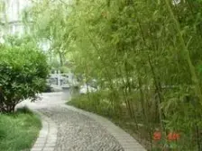 业主急售 地铁口 成熟社区全明户型通透 精装大三室