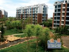 北岸明珠·龙湾1室1厅东南