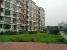 绿岛家园 1室1厅 南