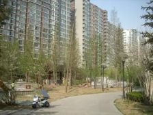 富力城A区,南北通透三居室,有且只有一套