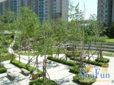 博雅国际 1室1厅 东北