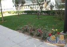 博雅国际 小区新 临近地铁 精装修 居住舒适