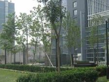 博雅国际 1室0厅 北