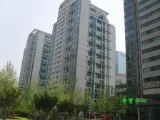 蓝堡国际公寓大望路地铁交易成本低底层看花