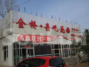 金桥 景观花园 精装修 温馨2居