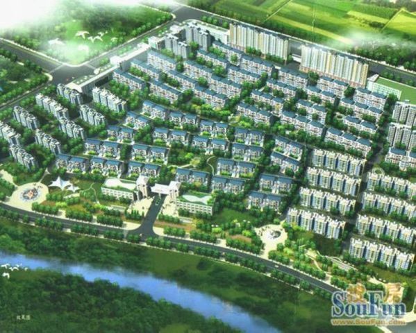  �����¡�� 