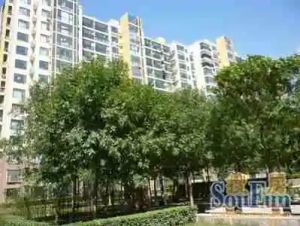 店长推荐东南两居,明厨明卫,满五唯一