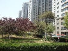 北苑家园茉藜园2室1厅西南
