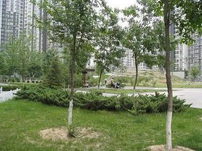  ������һ��2��2��1���ϳ���8000.00Ԫ/�³��� 