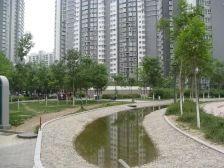 国美第一城2号院2室1厅东北